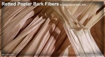 retted inner bark fibers cordage
